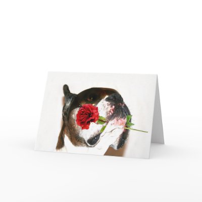 Boxer with Red Rose Postcard by ritmoboxer