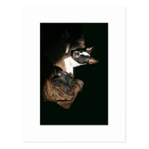 Boxers and Bostons: Awesome Twosome 2 Post Card