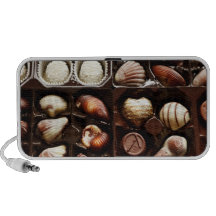 Boxes of Fancy Chocolates iPod Speaker