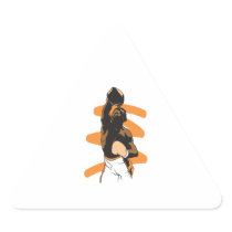 boxing champ triangle stickers
