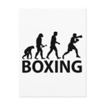 Boxing Evolution Post Card