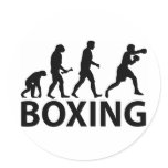Boxing Evolution stickers