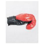 Boxing glove flyer
