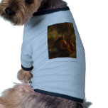Boxing Gloves pet clothing