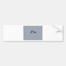 Boxing hares bumper stickers
