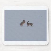 Boxing hares mousepads