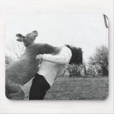 Boxing Kangaroo Mouse Mat by jkast2648