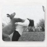 Boxing Kangaroo mousepads