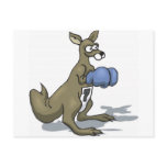 Boxing Kangaroo Postcards