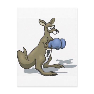 Boxing Kangaroo Postcard by sportydesigns