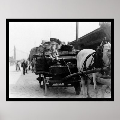 Boy Driving a Horse-Drawn Wagon in Hungary 1923 Poster by lc_vintagephotos