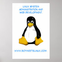 Boy Meets Linux Poster
