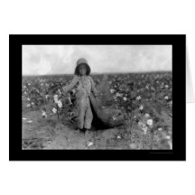 Boy Picking Cotton in Comanche, OK 1916 Greeting Cards