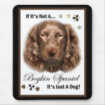Boykin Spaniel Gifts Mouse Pad