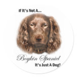 Boykin Spaniel Gifts stickers