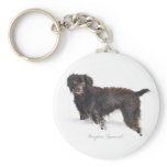 Boykin Spaniel Key Chain