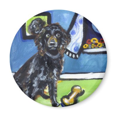 Boykin Spaniel senses smiling moon Magnets by zadajeanne