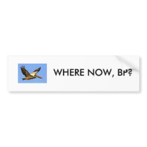 BP OIL SPILL BUMPER STICKERS