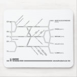 Brachial Plexus mouse mat Mouse Pads