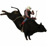 Brady and bull photo cutout
