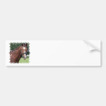Braided Horse Mane Bumper Sticker