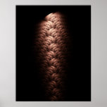 Braided Poster