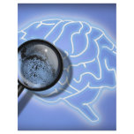 Brain fingerprint