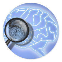 Brain fingerprint