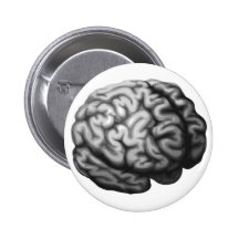Brain illustration pinback button