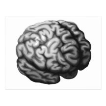Brain illustration post card
