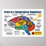 Brain Map - Capitalist Republican
