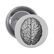 Brain Pinback Button