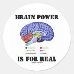 Brain Power Is For Real (Brain Anatomy Attitude) Round Sticker