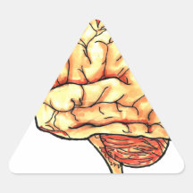 Brain series stickers