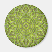 Brain Star Trilobite Magnets
