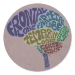 Brain Sticker
