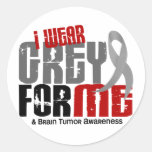 Brain Tumour I Wear Grey For ME 6.2 Sticker