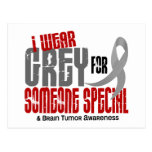 Brain Tumour I Wear Grey For Someone Special 6.2 Post Card