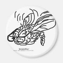Brainfly Logo Refrigerator Magnets