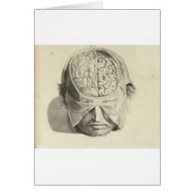 Brains Cards