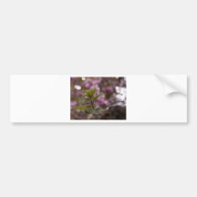 Bramble Bokeh Bumper Stickers