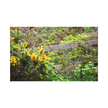 brambles and flowers stretched canvas prints