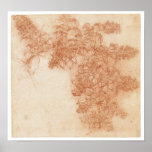 Branch of a Blackberry, Leonardo Da Vinci Print