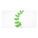 branch of a tree photo card template
