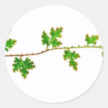 Branch of young green leaves sticker