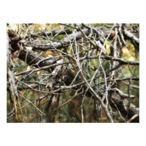 branches art photo