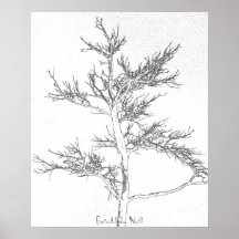 Branches Print