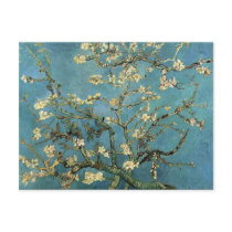 Branches with Almond Blossom by Vincent van Gogh Postcards