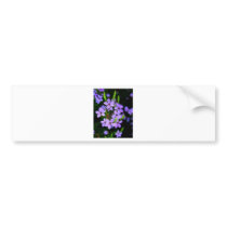 BRANDED BUMPER STICKERS