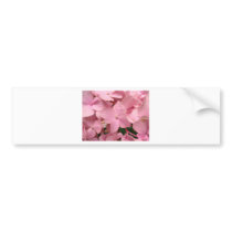 BRANDED BUMPER STICKER